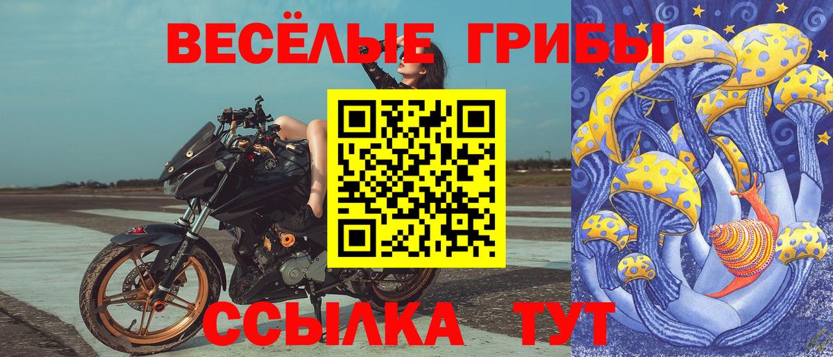 купить наркотик  Галлюциногенные грибы Psilocybine cubensis  Елец  Вход с VPN  Галлюциногенные грибы прущие грибы 
